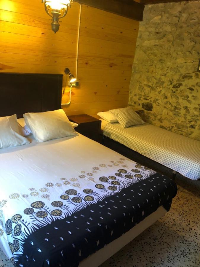 Mas Molladar Solo Adultos Guest House Camprodon Ngoại thất bức ảnh